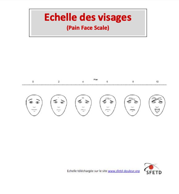 Echelle des visages