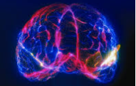 Lire la suite à propos de l’article JOURNEE THEMATIQUE<br>Neurostimulation externe / interne à visée antalgique